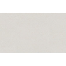 ГОМЕЛЬ виниловые обои 0499-12 ФАНТОМ ФОН