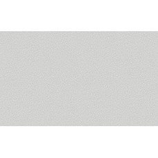 ГОМЕЛЬ виниловые обои 0309-21 СОНАТА ФОН