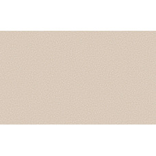 ГОМЕЛЬ виниловые обои 0309-62 СОНАТА ФОН