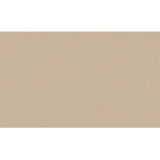 ГОМЕЛЬ виниловые обои 0321-62 КОМЕТА ФОН