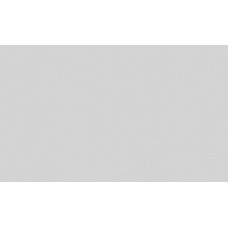 ГОМЕЛЬ виниловые обои 0480-21 ФЕНИКС ФОН